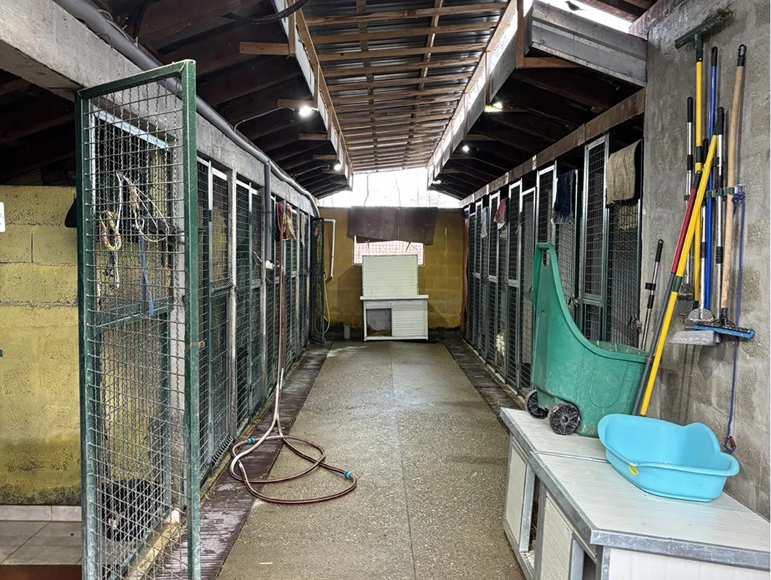Het asiel kennels