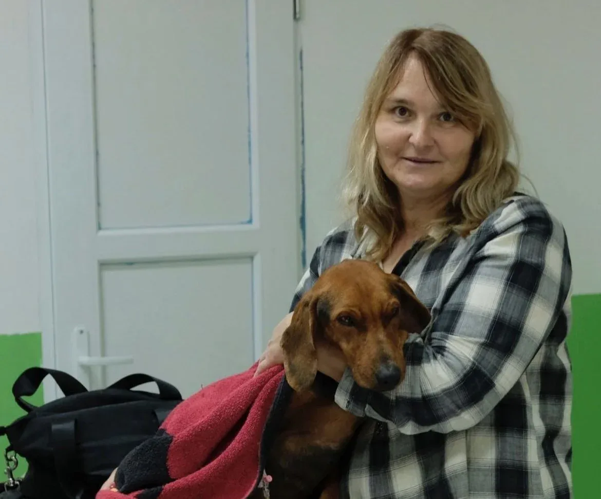 Hond voor de redding