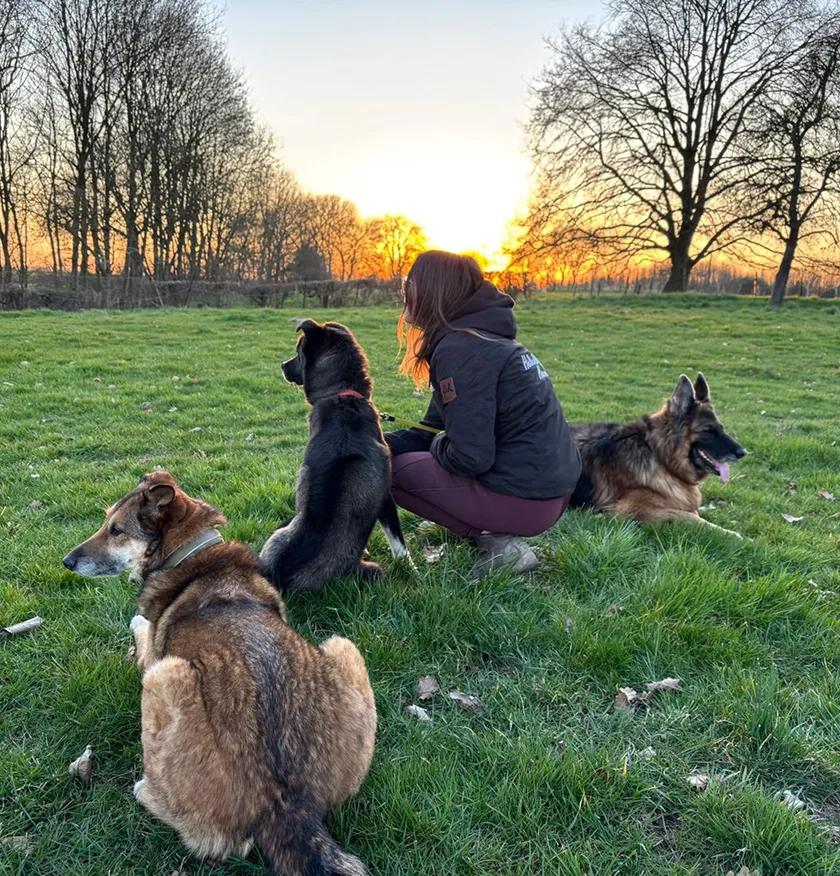 Hond vindt een thuis